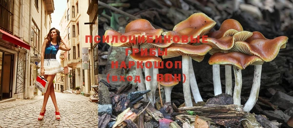 скорость Пестово