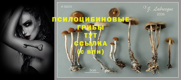 меф Пересвет