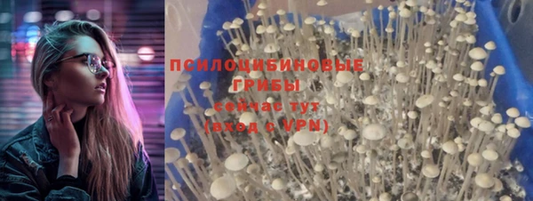 прущая мука Беломорск