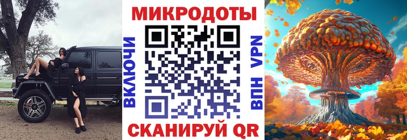 блэк спрут вход  где купить наркотик  Тимашёвск  Псилоцибиновые грибы Cubensis 